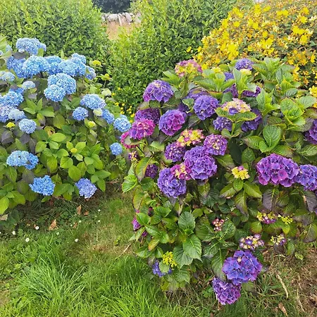 Sioscadh Na Mara Holiday home Spiddal